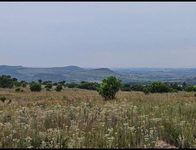 FARM FOR SALE IN LANSERIA